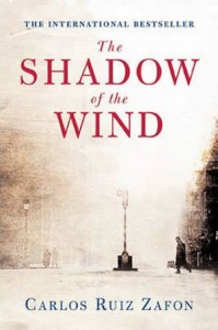 The shadow of the wind cover