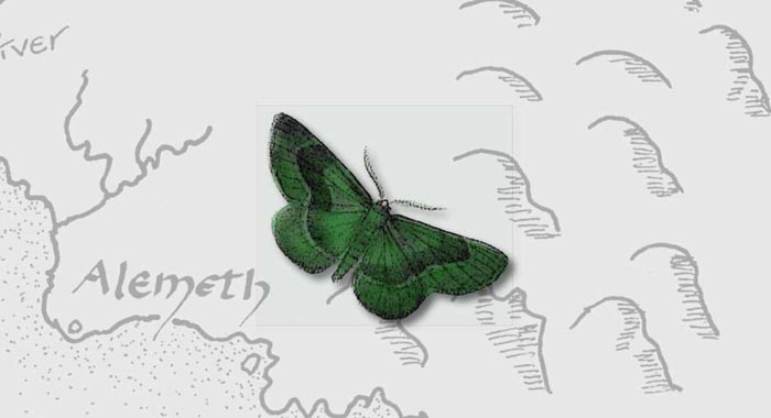 Green moth sitting on top of a map